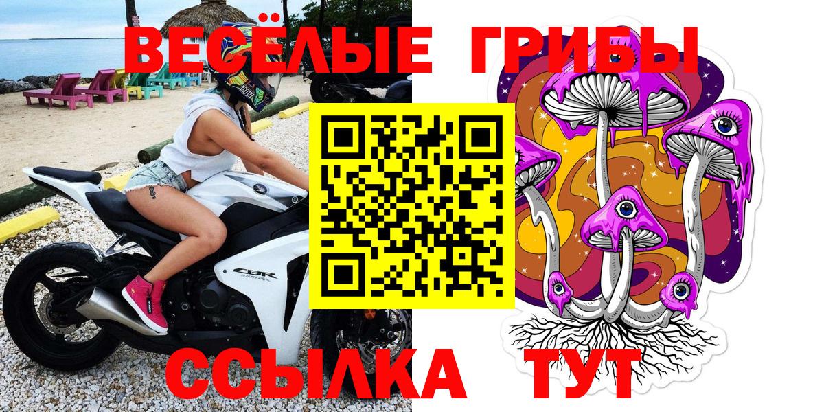 Псилоцибиновые грибы Psilocybe Тамбов