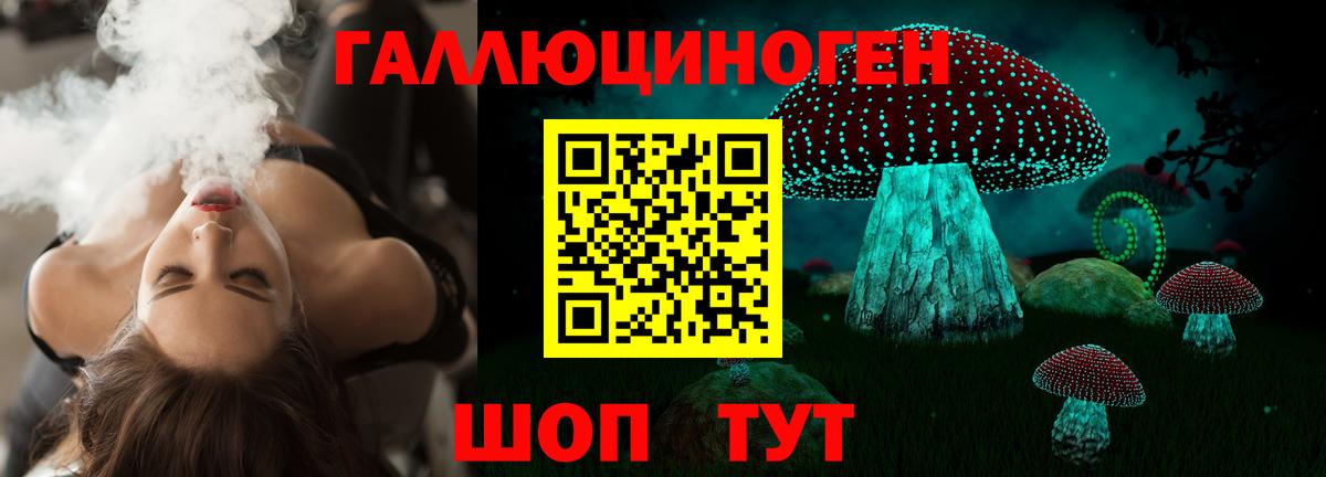 Тамбов  Галлюциногенные грибы ЛСД  Псилоцибиновые грибы Psilocybine cubensis  дарнет шоп  Вход с VPN 