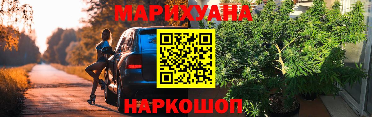 Марихуана OG Kush  Каннабис тримм  Вход с VPN  Тамбов  Конопля Amnesia 